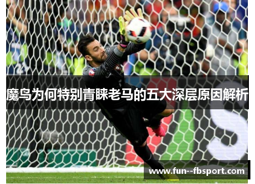 魔鸟为何特别青睐老马的五大深层原因解析