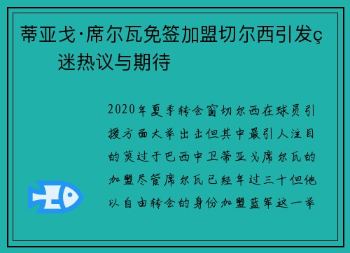 蒂亚戈·席尔瓦免签加盟切尔西引发球迷热议与期待