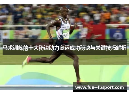 马术训练的十大秘诀助力奥运成功秘诀与关键技巧解析